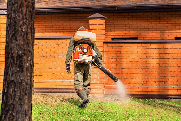 Trusted Rodent Control service in Glenrock, WY - Nex Pest Control